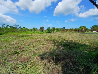 2000 m2 Land for Sale in San José, Panama 5 Minutes from Coronado - image 2