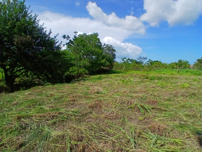 2000 m2 Land for Sale in San José, Panama 5 Minutes from Coronado - image 1