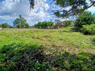 2000 m2 Land for Sale in San José, Panama 5 Minutes from Coronado - image 3
