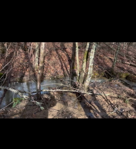 Rustic Retreat on 5.02 Acres in great location. - image 18