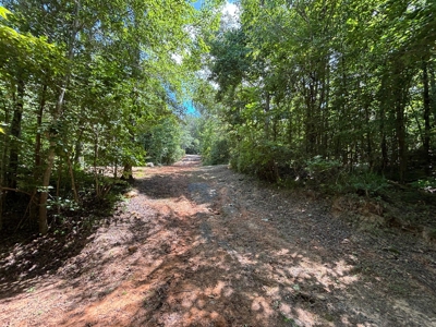 Private Acre For Sale in Whitwell, TN! - image 16