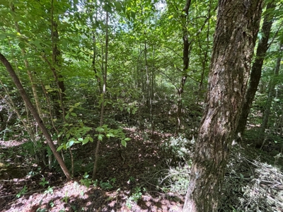 Private Acre For Sale in Whitwell, TN! - image 17