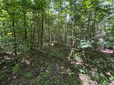 Private Acre For Sale in Whitwell, TN! - image 18