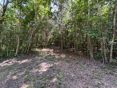 Private Acre For Sale in Whitwell, TN! - image 3