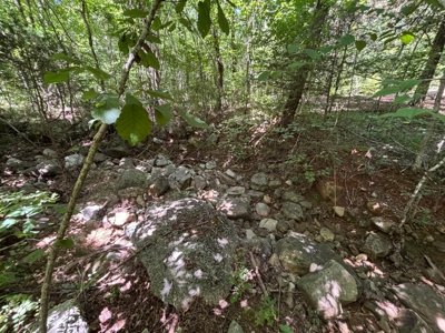 Private Acre For Sale in Whitwell, TN! - image 11