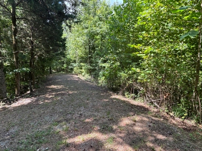 Private Acre For Sale in Whitwell, TN! - image 8