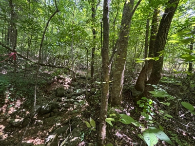 Private Acre For Sale in Whitwell, TN! - image 12
