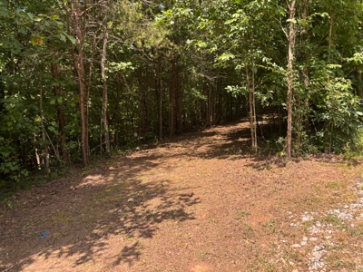 Private Acre For Sale in Whitwell, TN! - image 7