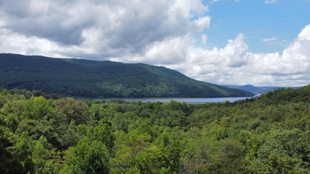 Private Acre For Sale in Whitwell, TN! - image 21