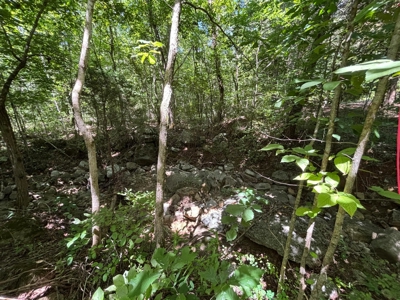 Private Acre For Sale in Whitwell, TN! - image 14