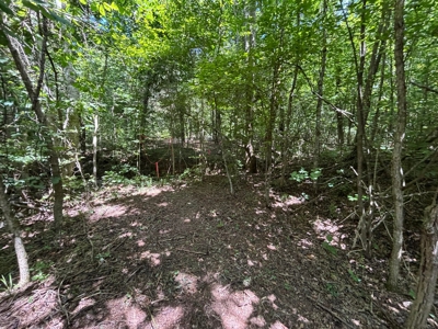 Private Acre For Sale in Whitwell, TN! - image 15