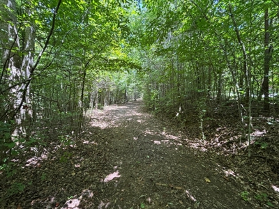 Private Acre For Sale in Whitwell, TN! - image 1