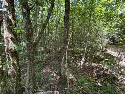 Private Acre For Sale in Whitwell, TN! - image 19