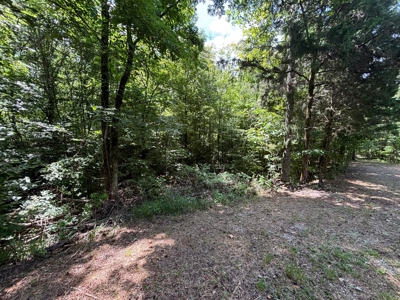 Private Acre For Sale in Whitwell, TN! - image 9