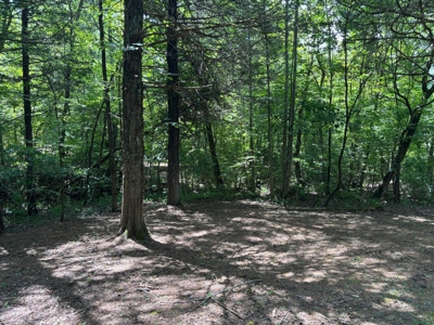 Private Acre For Sale in Whitwell, TN! - image 10