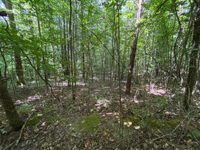 Private Acre For Sale in Whitwell, TN! - image 6