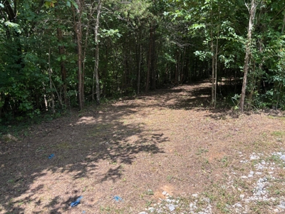 Private Acre For Sale in Whitwell, TN! - image 5