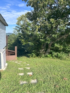 Country Home for Sale in Floyd County VA - image 46