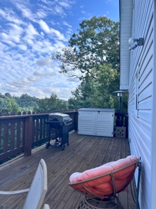 Country Home for Sale in Floyd County VA - image 44