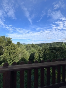 Country Home for Sale in Floyd County VA - image 45
