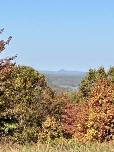 Land close to town with stunning Ozark Mountain views! - image 1