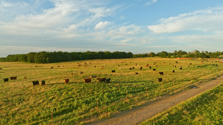5042 +\- acre Haskell County ranch in Oklahoma - image 29