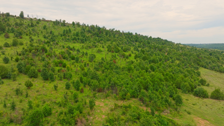 5042 +\- acre Haskell County ranch in Oklahoma - image 35