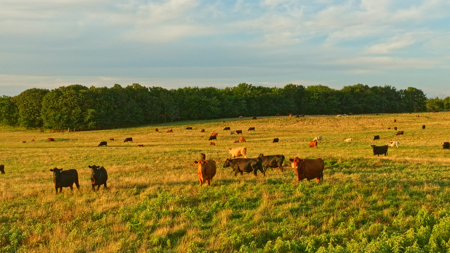 5042 +\- acre Haskell County ranch in Oklahoma - image 30