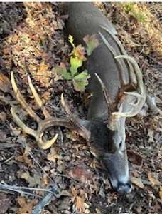 5042 +\- acre Haskell County ranch in Oklahoma - image 47