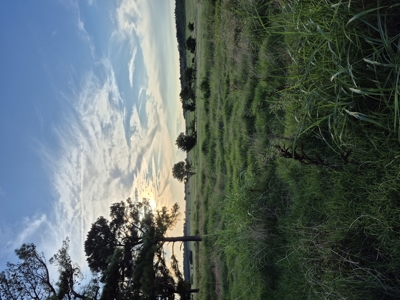 5042 +\- acre Haskell County ranch in Oklahoma - image 13