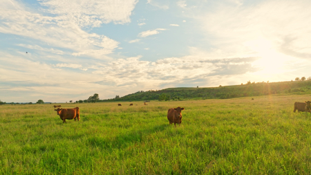5042 +\- acre Haskell County ranch in Oklahoma - image 42