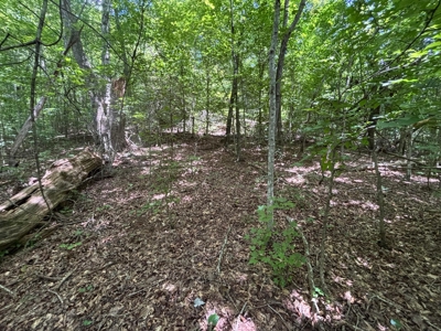 Land For Sale in Sequatchie County! - image 15