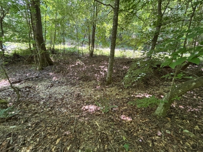Land For Sale in Sequatchie County! - image 4