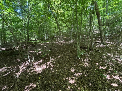 Land For Sale in Sequatchie County! - image 29