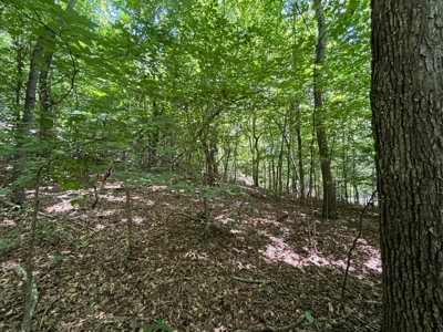 Land For Sale in Sequatchie County! - image 11