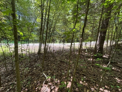 Land For Sale in Sequatchie County! - image 30