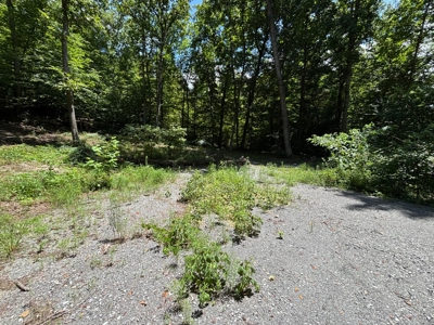 Land For Sale in Sequatchie County! - image 2