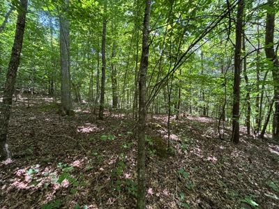 Land For Sale in Sequatchie County! - image 16