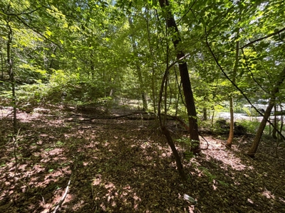 Land For Sale in Sequatchie County! - image 8