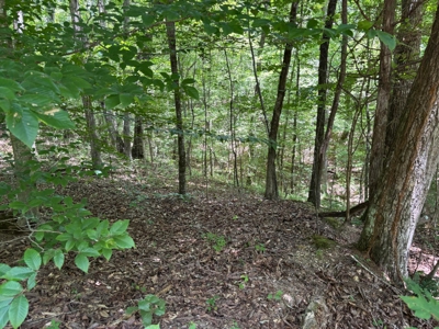 Land For Sale in Sequatchie County! - image 6