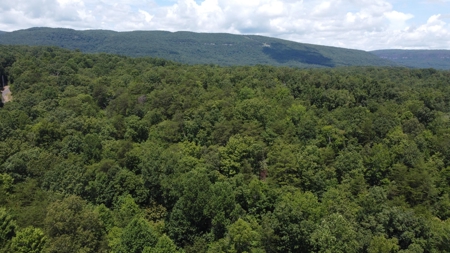 Land For Sale in Sequatchie County! - image 21