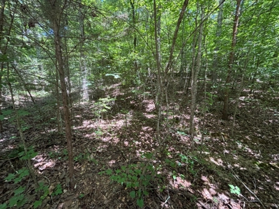 Land For Sale in Sequatchie County! - image 19