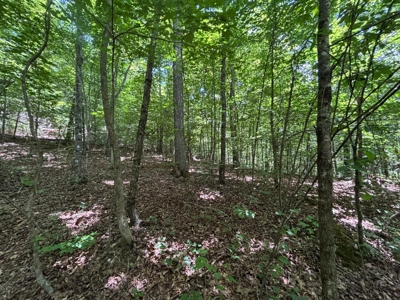 Land For Sale in Sequatchie County! - image 17