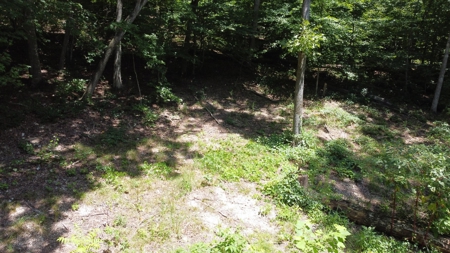 Land For Sale in Sequatchie County! - image 12