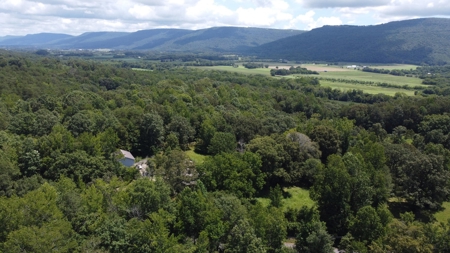 Land For Sale in Sequatchie County! - image 35