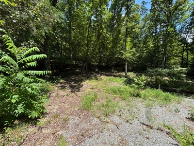 Land For Sale in Sequatchie County! - image 1