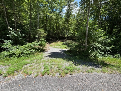 Land For Sale in Sequatchie County! - image 3