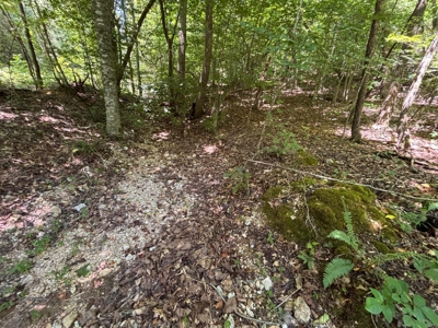 Land For Sale in Sequatchie County! - image 13
