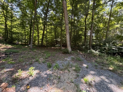 Land For Sale in Sequatchie County! - image 7
