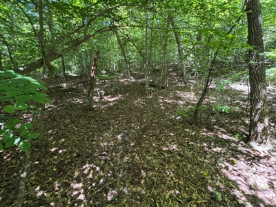 Land For Sale in Sequatchie County! - image 5